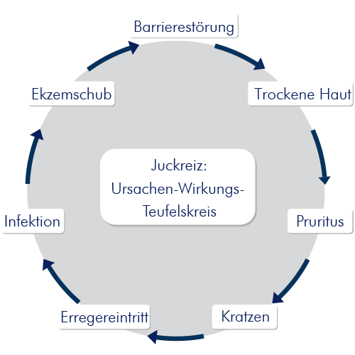 Mit der richtigen Pflege den Teufelskreis durchbrechen Infografik zum Juckreiz-Teufelskreis